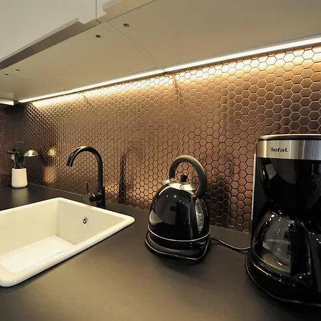Architect Design Apt Marais 公寓 巴黎