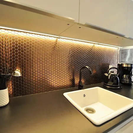 Architect Design Apt Marais 巴黎